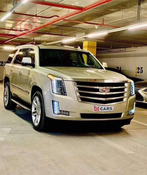 كاديلاك اسكاليد 2017 للبيع في العراق - بابل